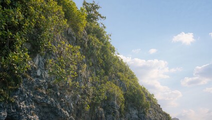 Obraz premium A rugged cliff adorned with lush greenery, suitable for design layouts.