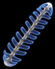 Braided Telomere Stability