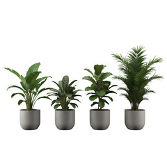 Obraz premium Geometric Concrete Planter Indoor Plant Collection – Stylish Minimal Decor.