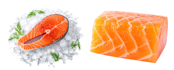 Top View of Thick Cut Salmon Steak with Ice Cubes and Green Dill, Transparent Background