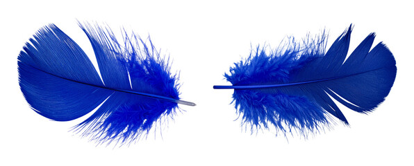 Vibrant Indigo Feather with Bold Central Quill and Detailed Texture, Transparent Background