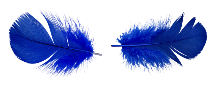 Vibrant Indigo Feather with Bold Central Quill and Detailed Texture, Transparent Background - Powered by Adobe