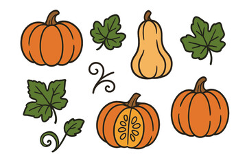 Various orange pumpkins, butternut squash, and green autumn leaves on white background