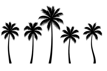 Obraz premium Five tropical palm tree silhouettes standing tall against a bright white background