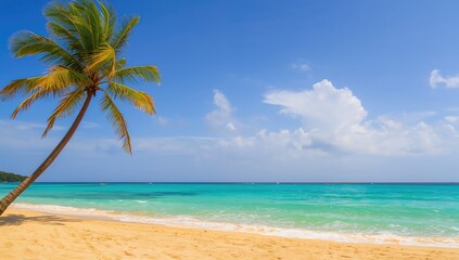 Fototapeta premium Spectacular view of caribbean waters with palm tree, ideal for editorial header background
