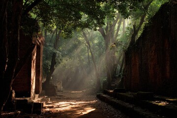 Ancient Cambodian Ruins Path Through Lush Jungle.