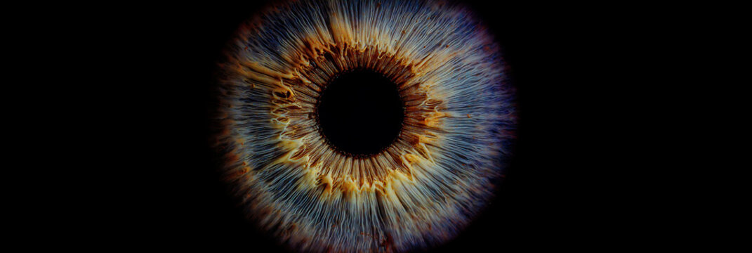 Extreme close up of eye iris with electronic elements and light on black background