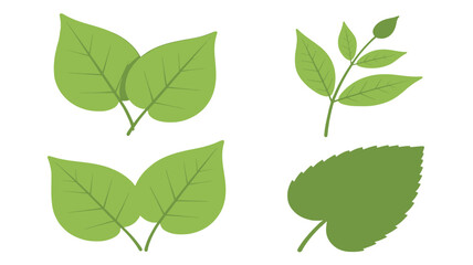 Fototapeta premium Set of green leaf illustrations simple vector design elements isolated on white background