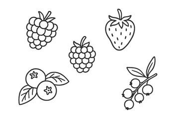 Outline symbols of summer berries: strawberries, raspberries, and blueberries