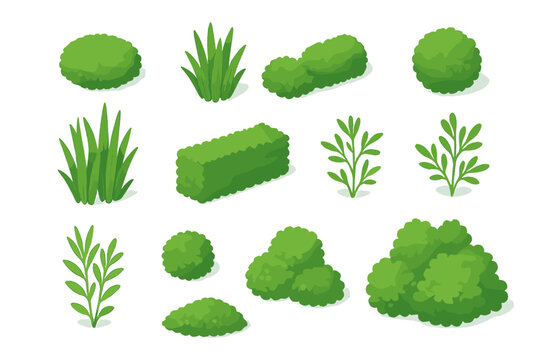 Isometric green bushes, shrubs, grass, and garden plants for landscape design