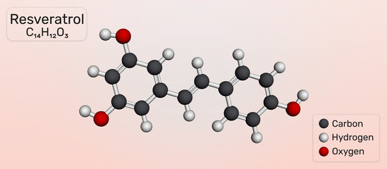 Resveratrol molecule. polyphenol antioxidant from grapes and red wine. Molecular model. 3D rendering. Illustration