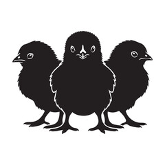 Group of Three Chicks Silhouette Vector Icon