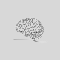 A clean, single continuous line drawing of the human brain (cerebrum and brainstem). This minimalist anatomical illustration is perfect for medical, psychological, or educational projects.