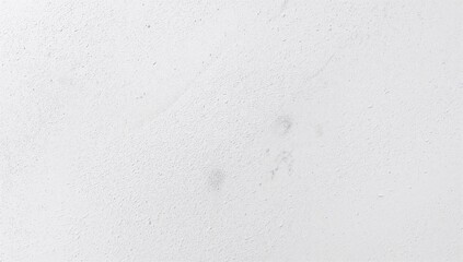 Fototapeta premium White Concrete Wall Surface, functional background for layout