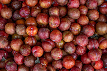 background of fresh apricot