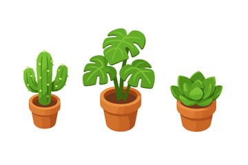 Obraz premium Collection of three popular potted houseplants including cactus, monstera, and succulent