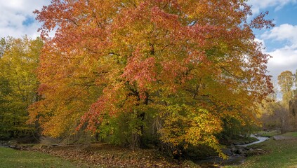 Fototapeta premium Vibrant autumn leaves on the branches, seasonal change