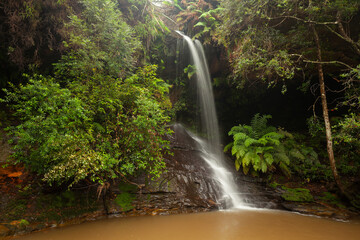 Regenreicher Tag enthüllt üppige Natur am verborgenen Wasserfall in den Blue Mountains, New South...