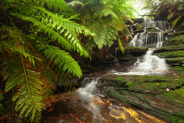 Regenreicher Tag enthüllt üppige Natur am verborgenen Wasserfall in den Blue Mountains, New South...