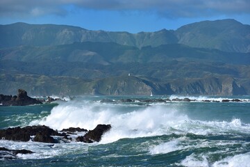Storm waves bringing in the floating debris