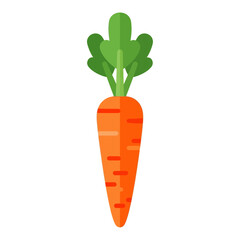 A vibrant orange carrot with green leafy tops isolated on a white background.