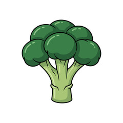 Fresh Green Broccoli Vegetable Cartoon Illustration.