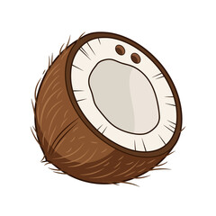 Half coconut illustration showing the inside and outside details of the fruit.