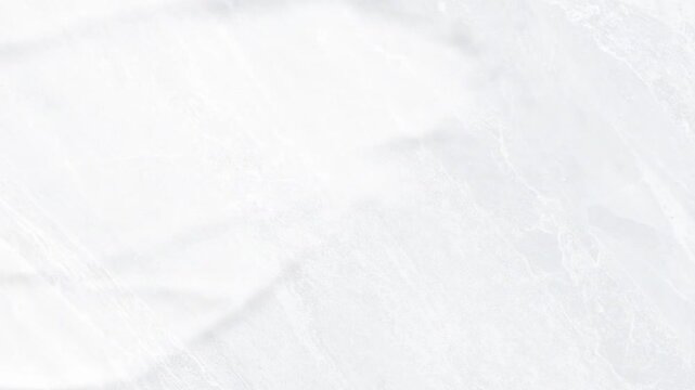Close-up of a white marble surface with light gray veining, creating a subtle, abstract pattern