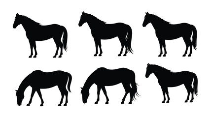 Graceful horse silhouettes showcasing equine beauty in various poses, ideal for equestrian themes, brands, or designs needing a touch of wild freedom and strength