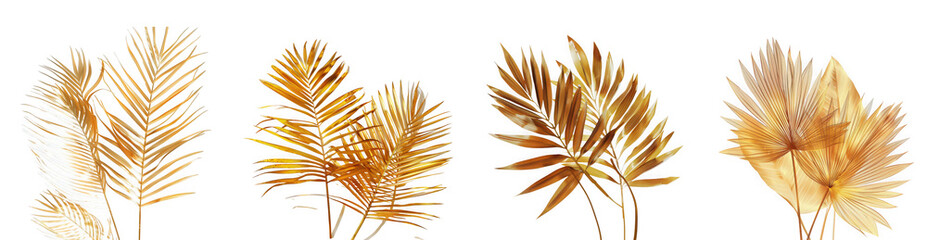Four golden dried palm leaves and pampas grass branches isolated on transparent background