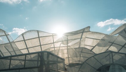 Sunlight streaming through a glass roof at dawn, creating a serene atmosphere