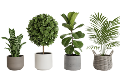 Isometric plant 3d rendering