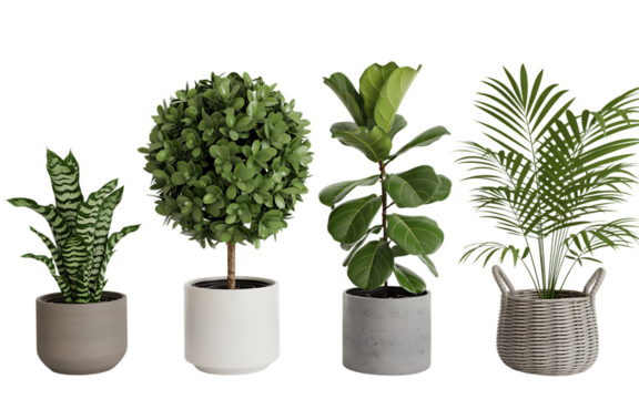 Isometric plant 3d rendering