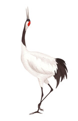 Naklejka premium Dancing japanese red-crown crane. Watercolor illustration of crane. Delicate illustration for fabric, wallpaper, greeting cards, design, decoration and illustration.