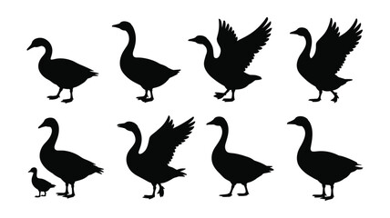 Fototapeta premium Collection of Black Silhouette Goose and Gosling Icons on White Background bird animal