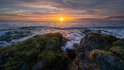 Lichen on rocky shore by the ocean, showcasing erosion risk
