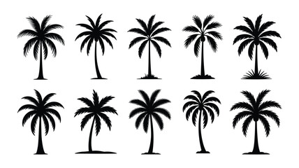 Collection of Black Silhouette Palm Trees on White Background tropical nature