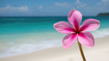 Exotic pink flower set against a coastal view, enhancing natural beauty