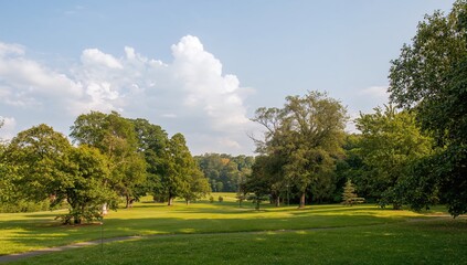 Fototapeta premium Park with lush trees and vibrant greenery, a serene setting for relaxation
