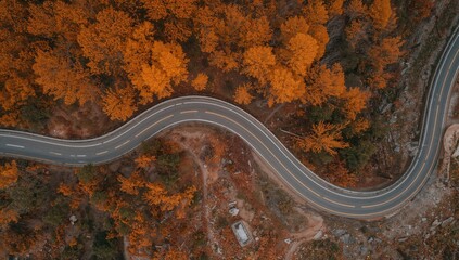 Naklejka premium Aerial view of a winding road amidst vibrant autumn foliage, showcasing seasonal change