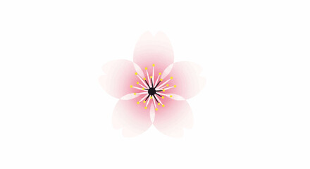 Realistic 2D flat illustration of a single delicate pink cherry blossom flower featuring soft gradients, isolated against a pristine white background representing the arrival of spring.