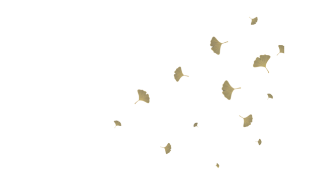 ftransparent falling flower background