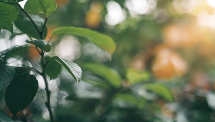 Blurred Abstract Leaf Background, suitable for UI backdrop