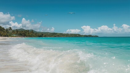 Obraz premium Caribbean ocean waves crashing on the shore, showcasing the natural beauty and coastal erosion risk