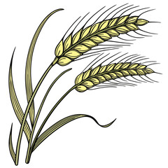 Illustration of two golden wheat stalks with green leaves against a white background