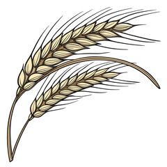 Two stylized golden wheat ears with long awns on a white background representing agriculture and harvest