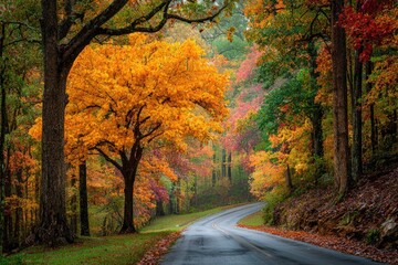 Winding road through forest, showcasing vibrant autumn foliage in varying hues of color