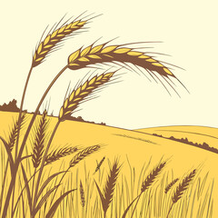 Golden wheat field under a pale sky with stalks of wheat in the foreground