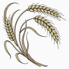 Stylized illustration of three golden wheat stalks with leaves on a white background