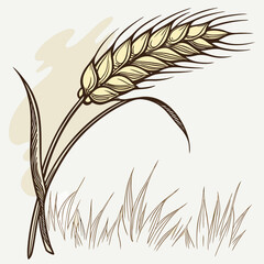 A single stalk of golden wheat with detailed lines stands tall against a soft beige background with wispy grass below